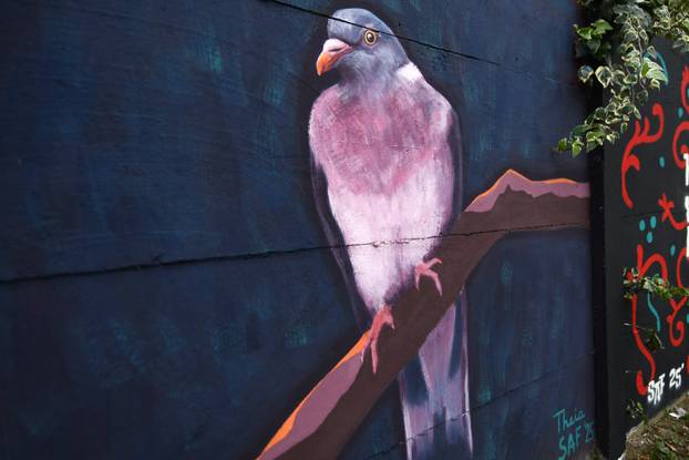Koprivnica: Gradske površine obogaćene su novim muralima nakon Street Art Festivala