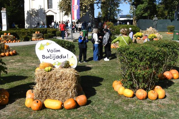 Ivanić Grad: Gastro manifestacija 'Bučijada u centru Ivanić Grada'