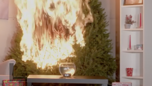 Oprez! Božićno drvce u samo trideset sekundi može izgorjeti