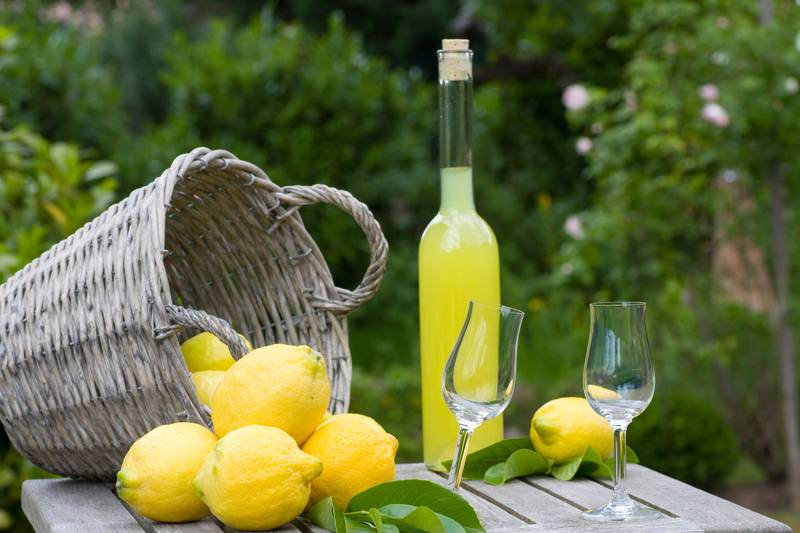 Limoncello: 'Svaka obitelj koja radi liker ima i drugačiji recept'