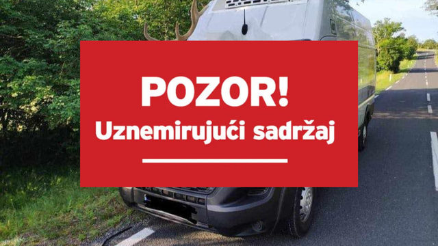 FOTO Jelen skočio na kombi pa probio vjetrobransko staklo