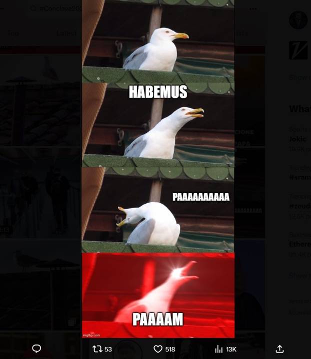 FOTO Internet pun memova zbog konklave. Ovo su najbolje fore! Galeb je postao faca...