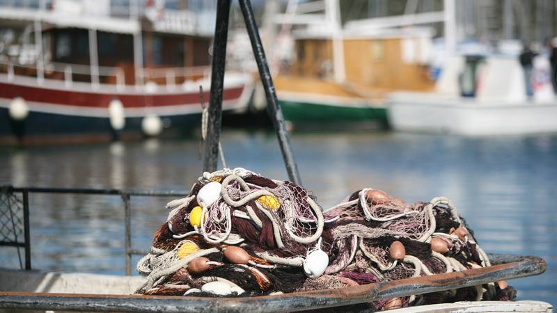 WWF Adria upozorava na 'ghost gear': Napuštene mreže i dalje