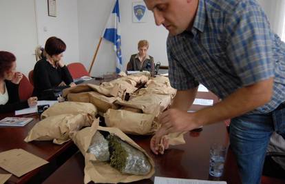 Rekordna zapljena: Mladića 'skinuli' s 13 kg marihuane