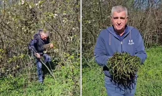 VIDEO Bulj izišao iz grma pa se pohvalio bruškandulama: 'A gdje ti je dozvola za branje?!'