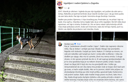 Žena zvala policiju zbog psa koji često lunja sam, vlasnik Gordan Lauc vrijeđao njenog supruga