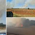Požar kod Pule: 'Ljudi su sami gasili vatru u panici, obranili smo kuće, izgorio je jedan auto'