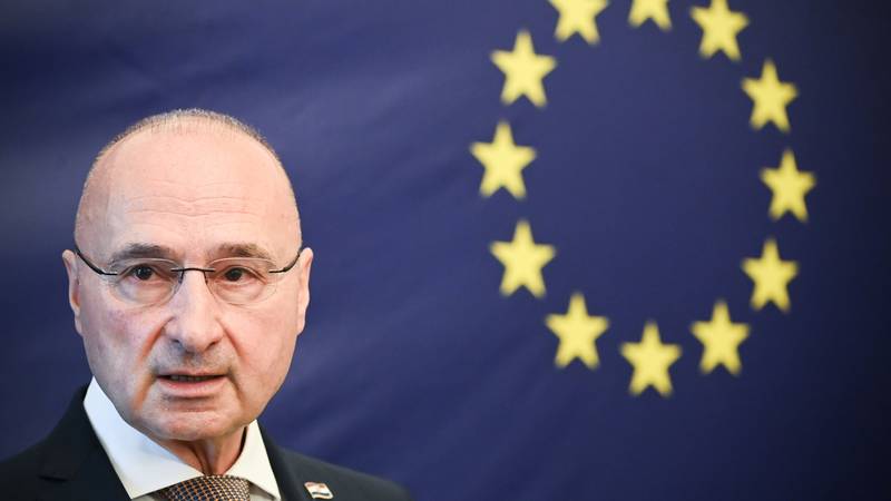Gordan Grlić Radman: Nepravda prema Hrvatima u BiH mora biti ispravljena prije izbora...