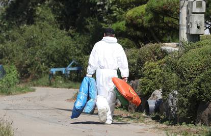 Svinjska kuga u Mađarskoj: Na pet svinja otkrili opasnu bolest