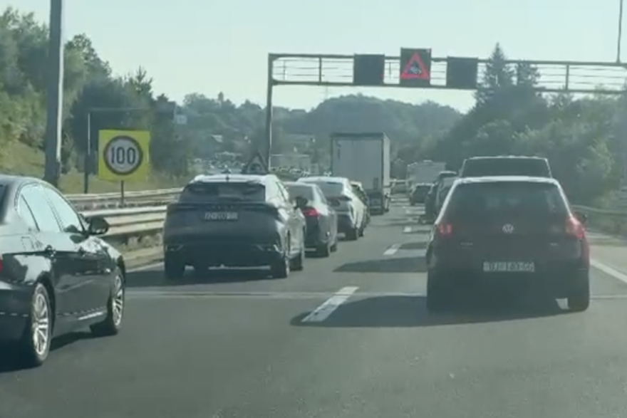 Gu&zcaron;ve prema moru