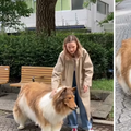 Japanac odjeven u kostim psa vrijedan preko 14 tisuća eura šeta ulicom: Želim biti životinja!