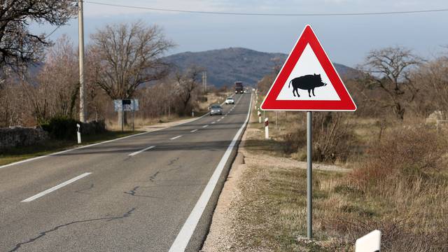 Prometni znakovi za divlja? i doma?e životinje na cesti