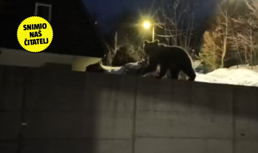 VIDEO Neobi&ccaron;an gost u Gorskom kotaru: 'Medo je htio dograbiti hranu, ali boji se pasa u vrtu'