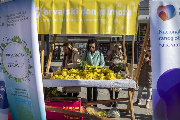 Dan mimoza obilježen je i u Osijeku