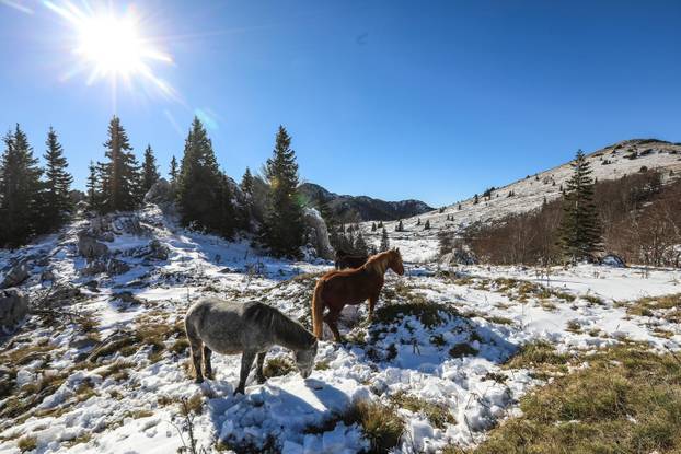 Na današnji dan 1999. proglašen je hrvatski nacionalni park Sjeverni Velebit