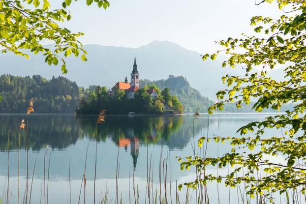 Alpine Bled lake in Slovenia