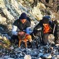 Planinari spasili dva lovačka psa pronađena na vrhu Sv. Ilija