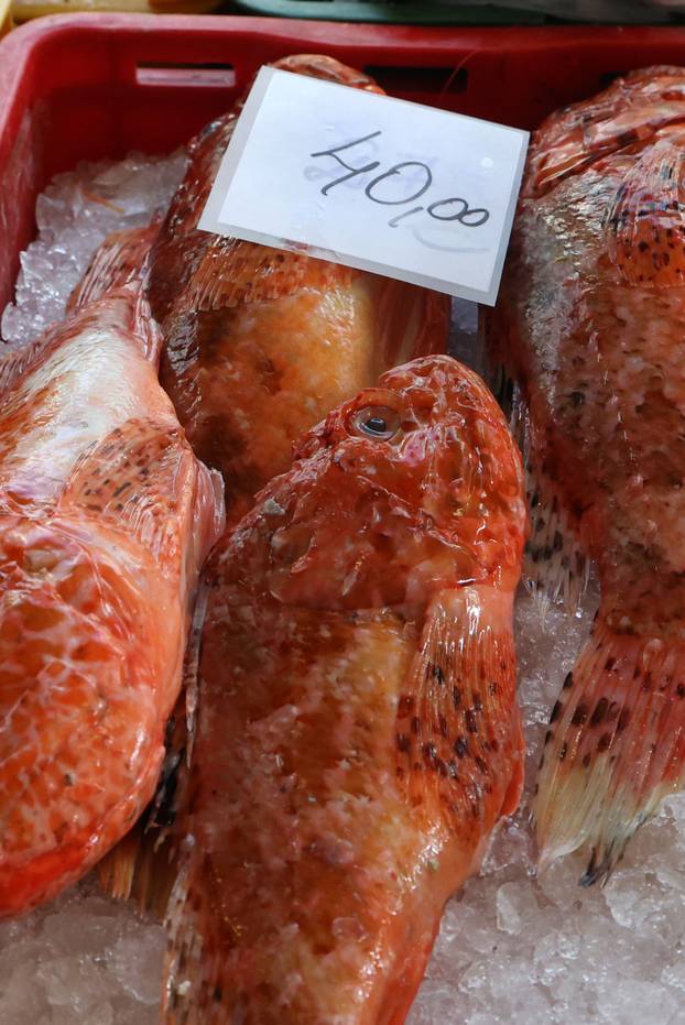 Šibenik:Bogata ponuda ribe na sibenskoj ribarnici.