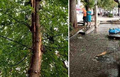 VIDEO Grom udario u stablo u Crikvenici: 'Bilo je blizu mene. Svi su se razbježali s terase...'