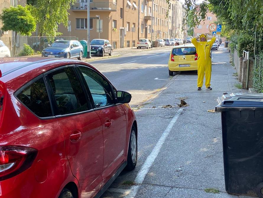 Vjetar je srušio košnicu, a pčelar sakupio pčele i vratio ih unutra