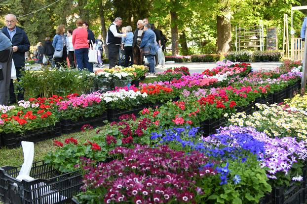 Daruvar: Sajam cvijeća, bilja i sadnica privukao mnogobrojne posjetitelje