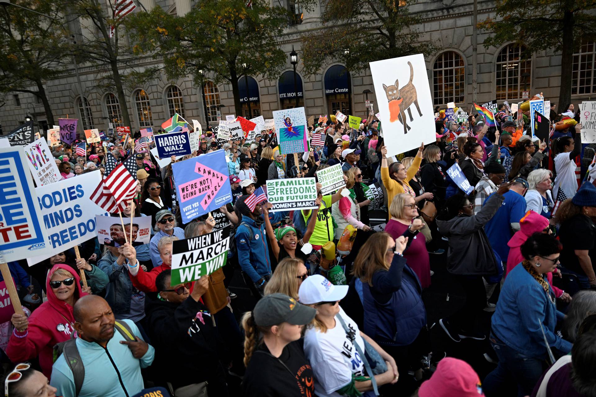 National Women's March in Washington