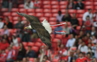 Benfica odbila AEK: Ništa od najbizarnije posudbe u povijesti