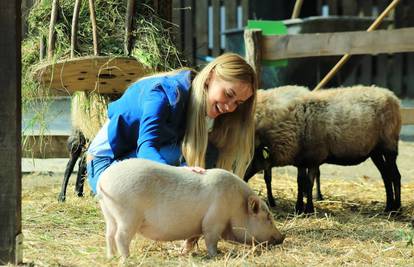 Patuljasta svinja Rozika nova je stanovnica zoološkog vrta