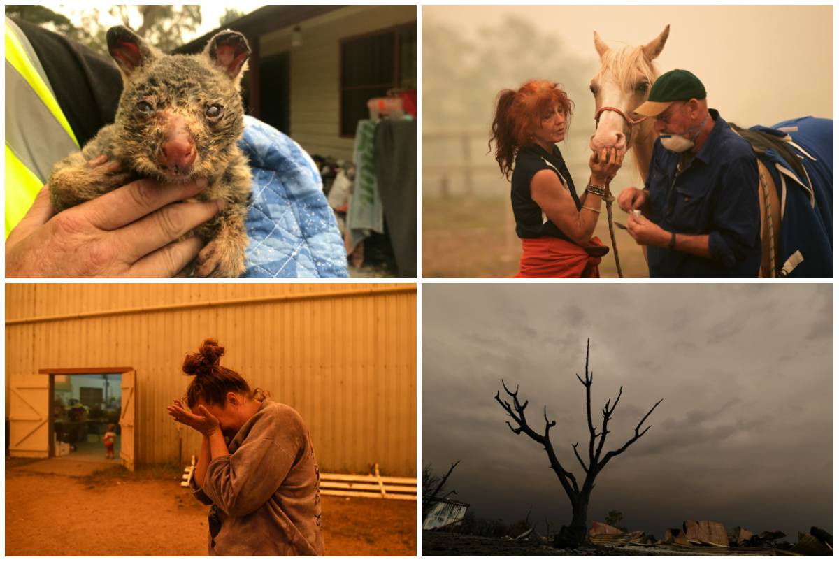 Fotke iz Australije koje slamaju srca: Uginuli milijuni životinja