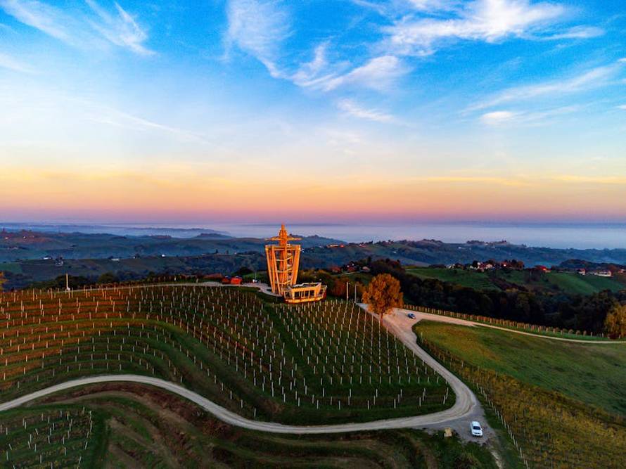 Rozé vina – trendovi, sorte i posebno mjesto Slavonije