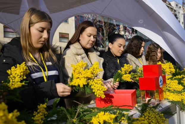 Zagreb: 19. Dan mimoza obilježen na Cvjetnom trgu