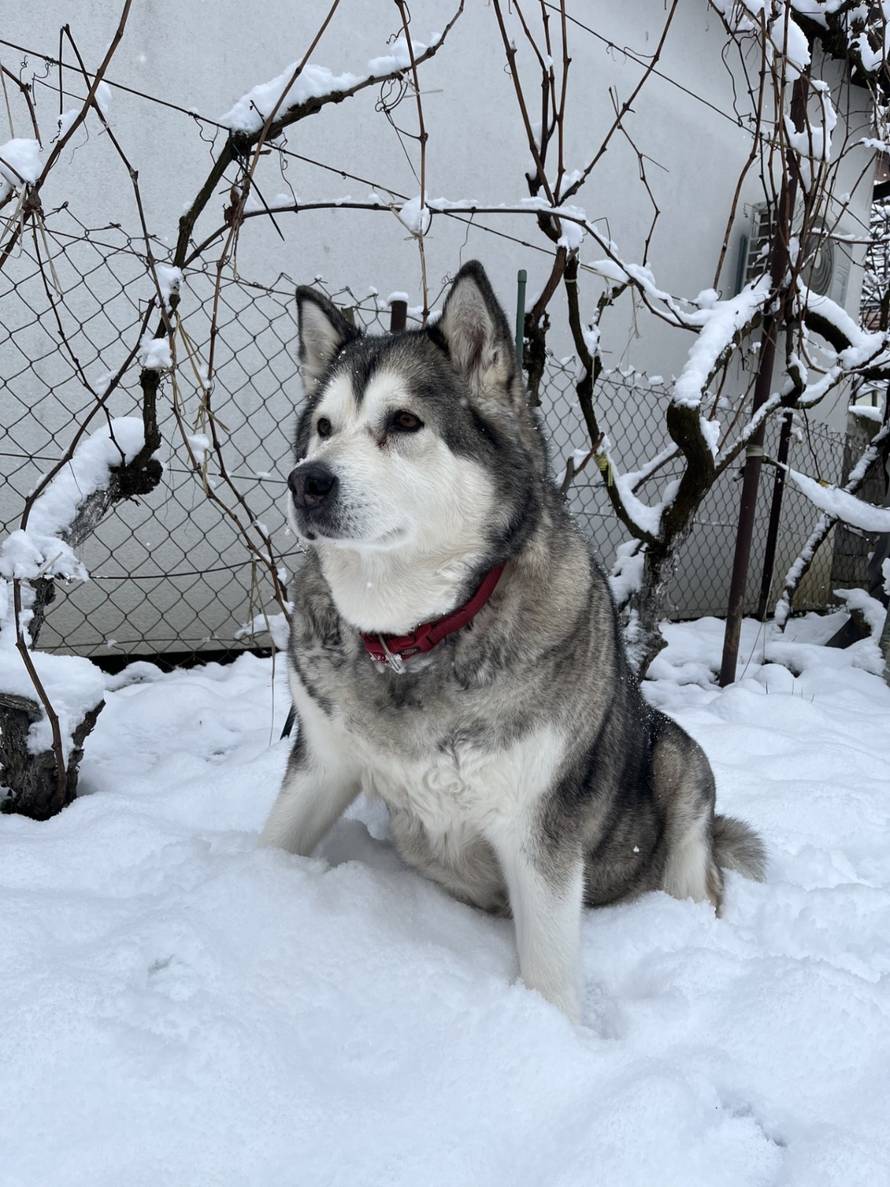 Općinska komunalka sama 'izlopatala' snijeg sa staze: 'Nema nikakve drame u tome'