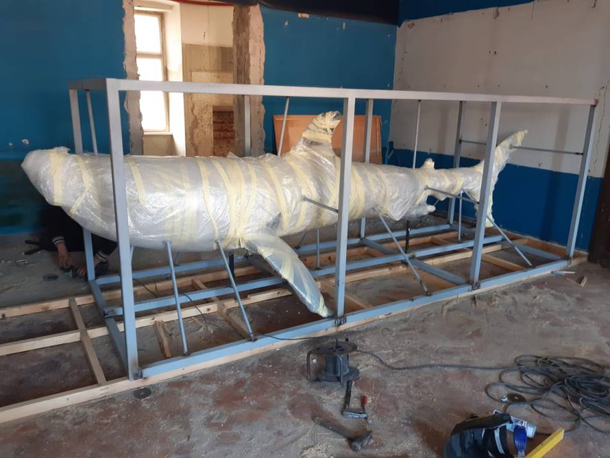 VIDEO Velika bijela psina od 4,5 metara putuje kroz Zagreb!