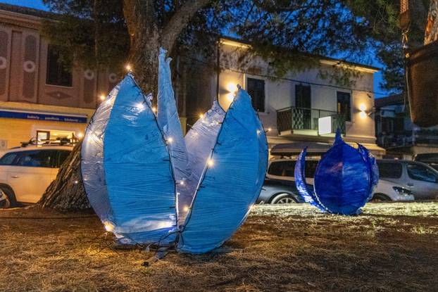 Fažana: Održana manifestacija "Rapsodija u plavom"