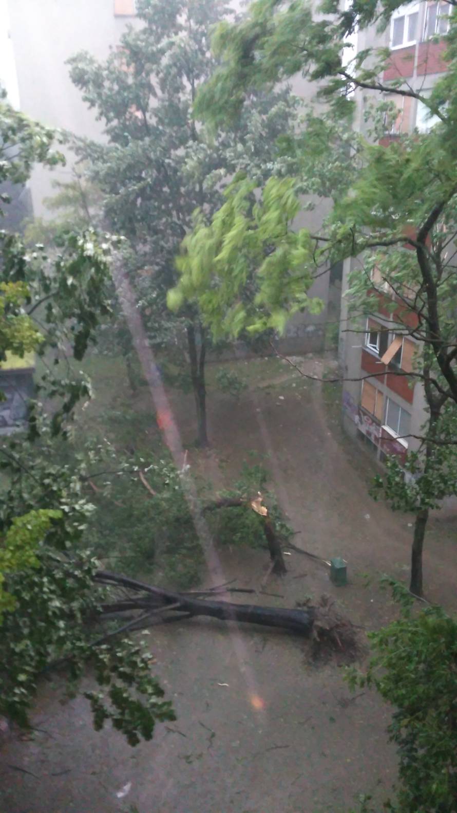 Nevrijeme rušilo stabla, nosilo krovove, kiša poplavila ulice