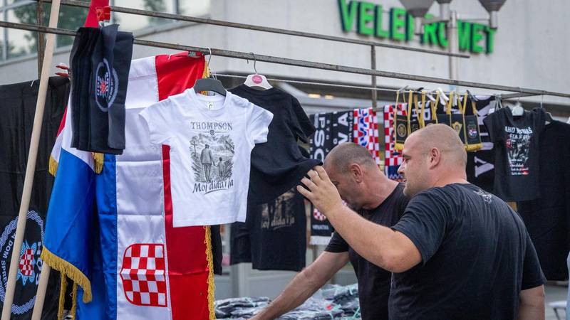 Vukovarski gradonačelnik uoči Thompsona: 'Noć je prošla u redu. Vrhunac slijedi oko 15 sati'
