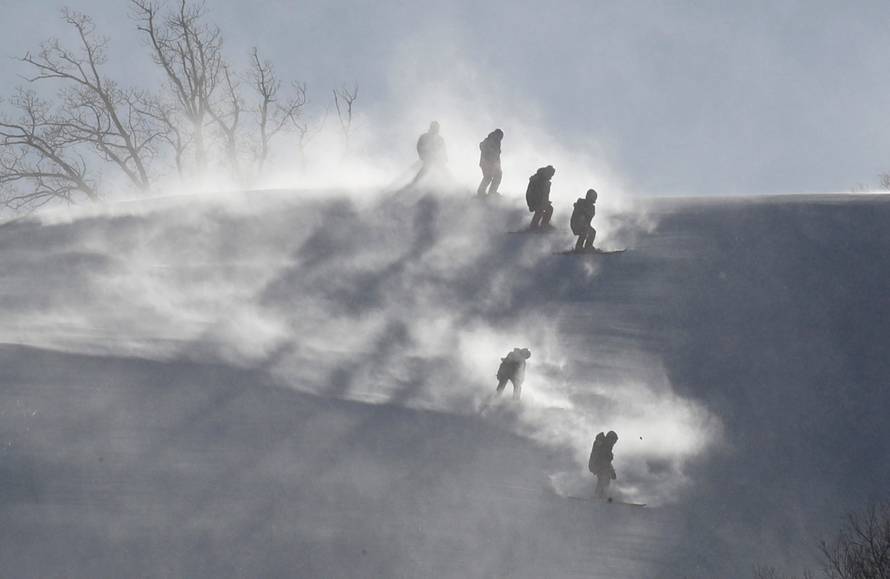 Editor's Choice: 12 February 2018