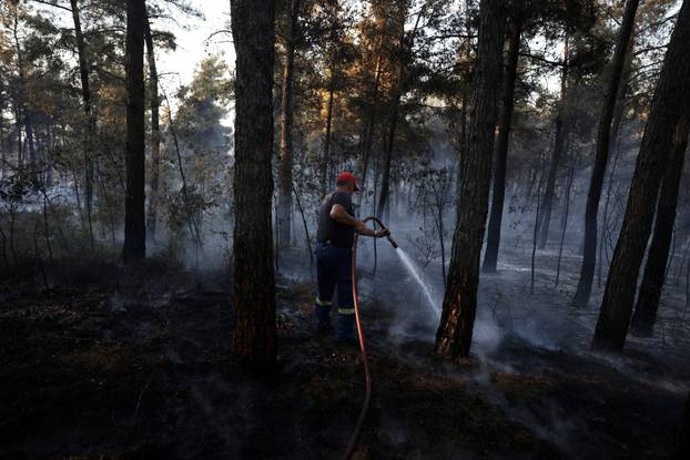 Wildfire burns near the village of Liti