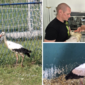 FOTO Bijela roda zapetljala se u mrežu gola u Zagrebu: 'Sanirali smo ranu, pratimo kud se kreće'