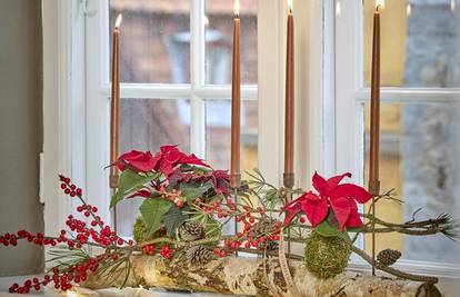 Adventski ukrasi s božićnim zvijezdama