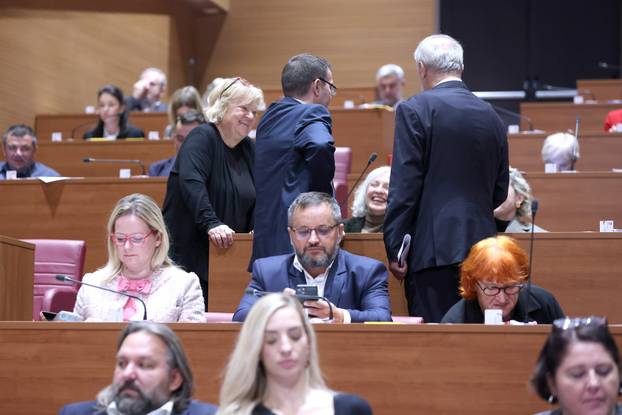 Sabor glasao o rebalansu proračuna, glasanje o misiji NSATU odgođeno