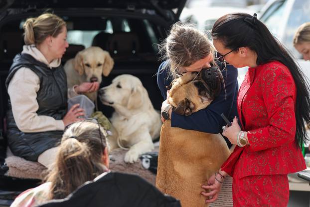 Zaprešić: Ispred Wesgatea održana međunarodna izložba pasa