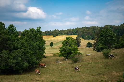 Gorska Hrvatska je mjesto na kojem se misli bistre, a tijelo uživa u svim osjetilima