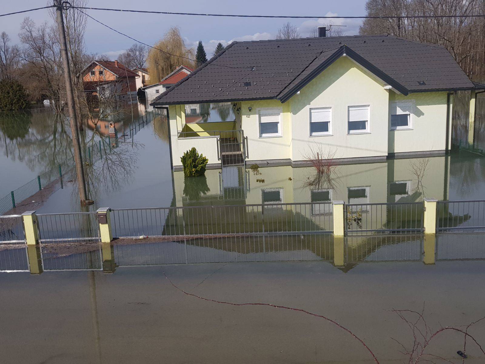 Vodeni svijet: Šarani i štuke im doplivali u dvorište u Pisarovini