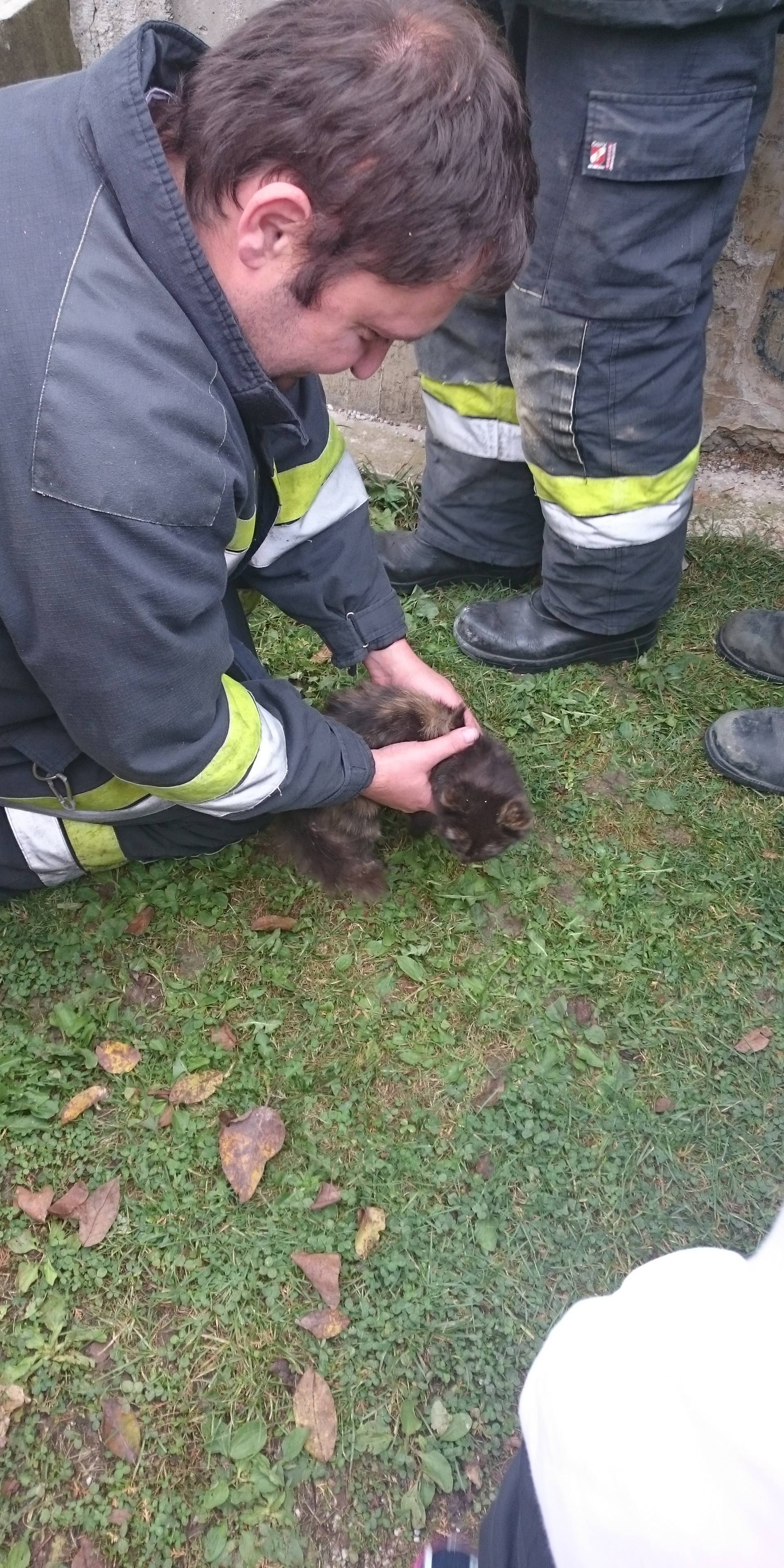 Učenici su pozvali vatrogasce da spase mačića iz bunara