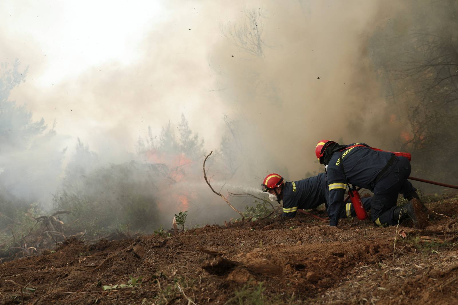 Wildfire on Evia island