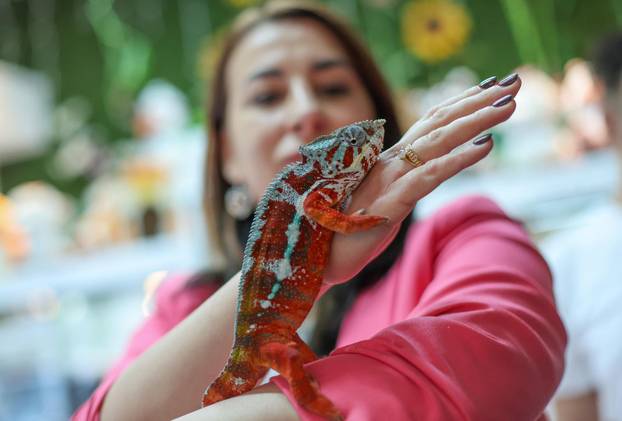 Zagreb: Emilija i Amer Alaydi otvorili su kafić Animal caffe