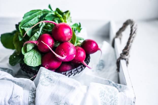 Radishes on white background