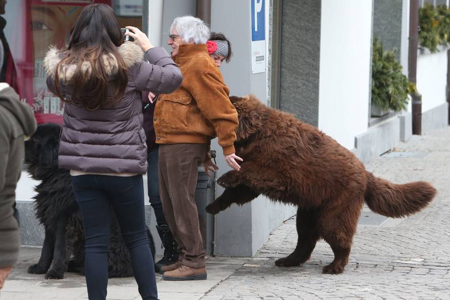 Splash/Guliver Image