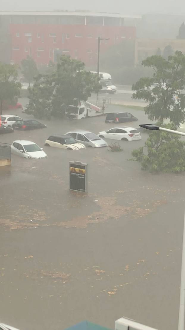 A tree stands amongst flood waters in Nimes